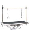 super Deluxe electric pet grooming table, 110V/220V professional groomer recommend height adjust from 8 up to 36inch
